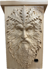 Load image into Gallery viewer, Artisanal Birdhouse - GreenMan